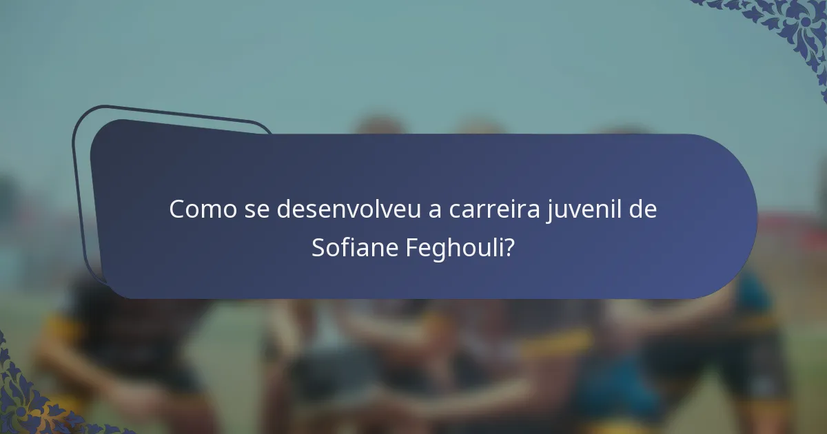 Como se desenvolveu a carreira juvenil de Sofiane Feghouli?