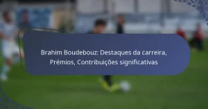 Brahim Boudebouz: Destaques da carreira, Prémios, Contribuições significativas